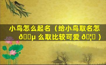 小鸟怎么起名（给小鸟取名怎 🐵 么取比较可爱 🦟 ）